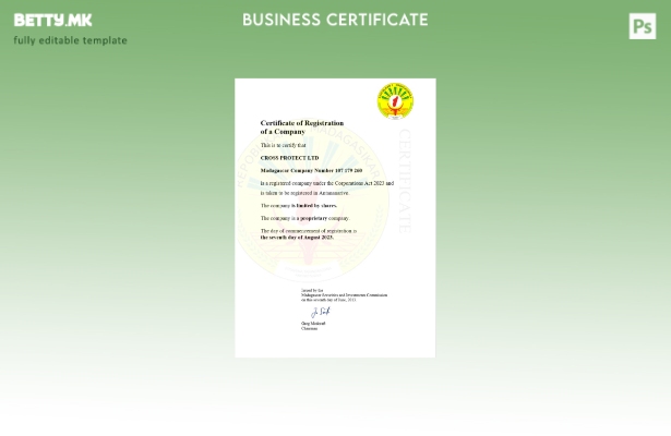 модерен стил Уверение за регистрација на бизнис во Мадагаскар Шаблон за Word и P